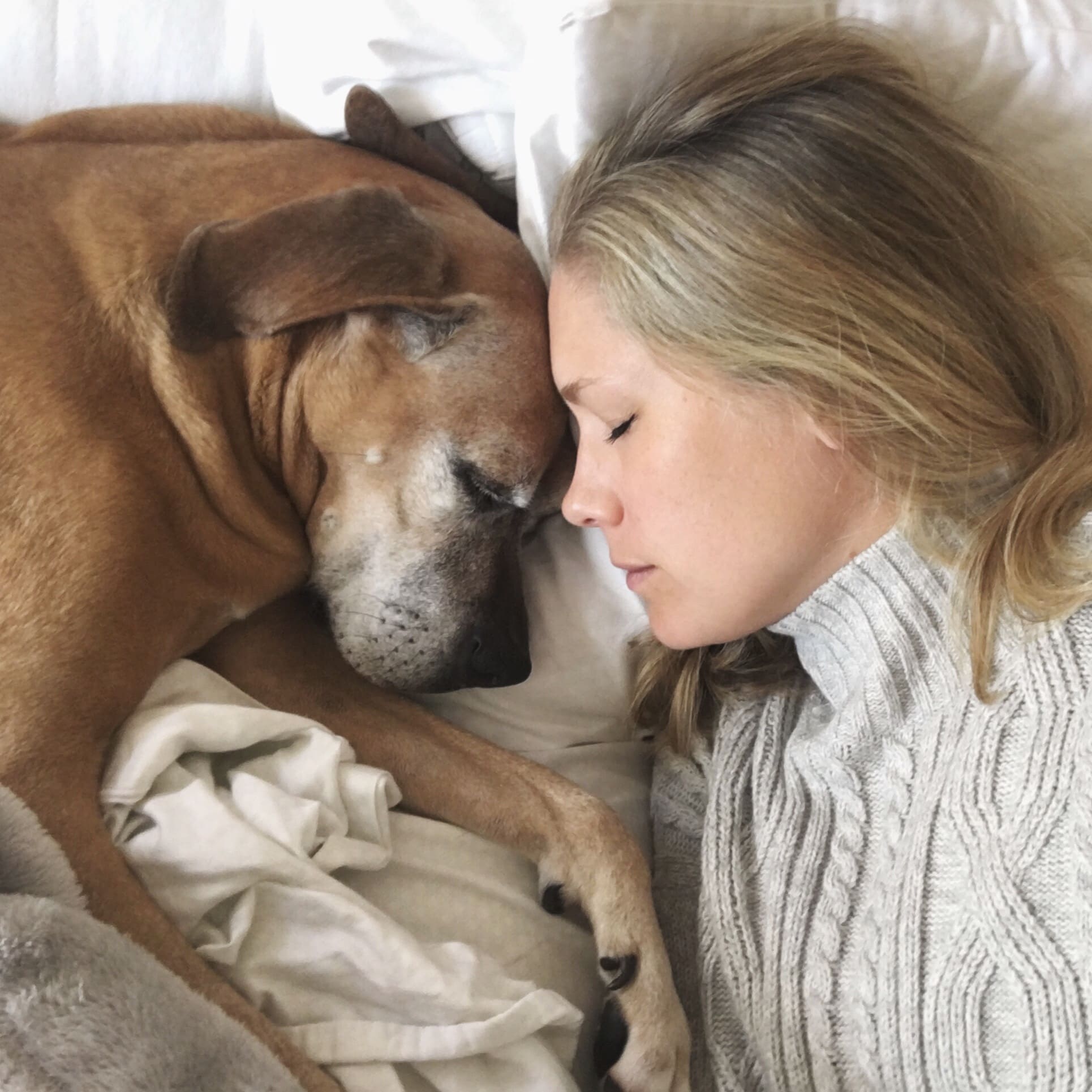 Femme et chien tête à tête couché dans un lit, les yeux fermés