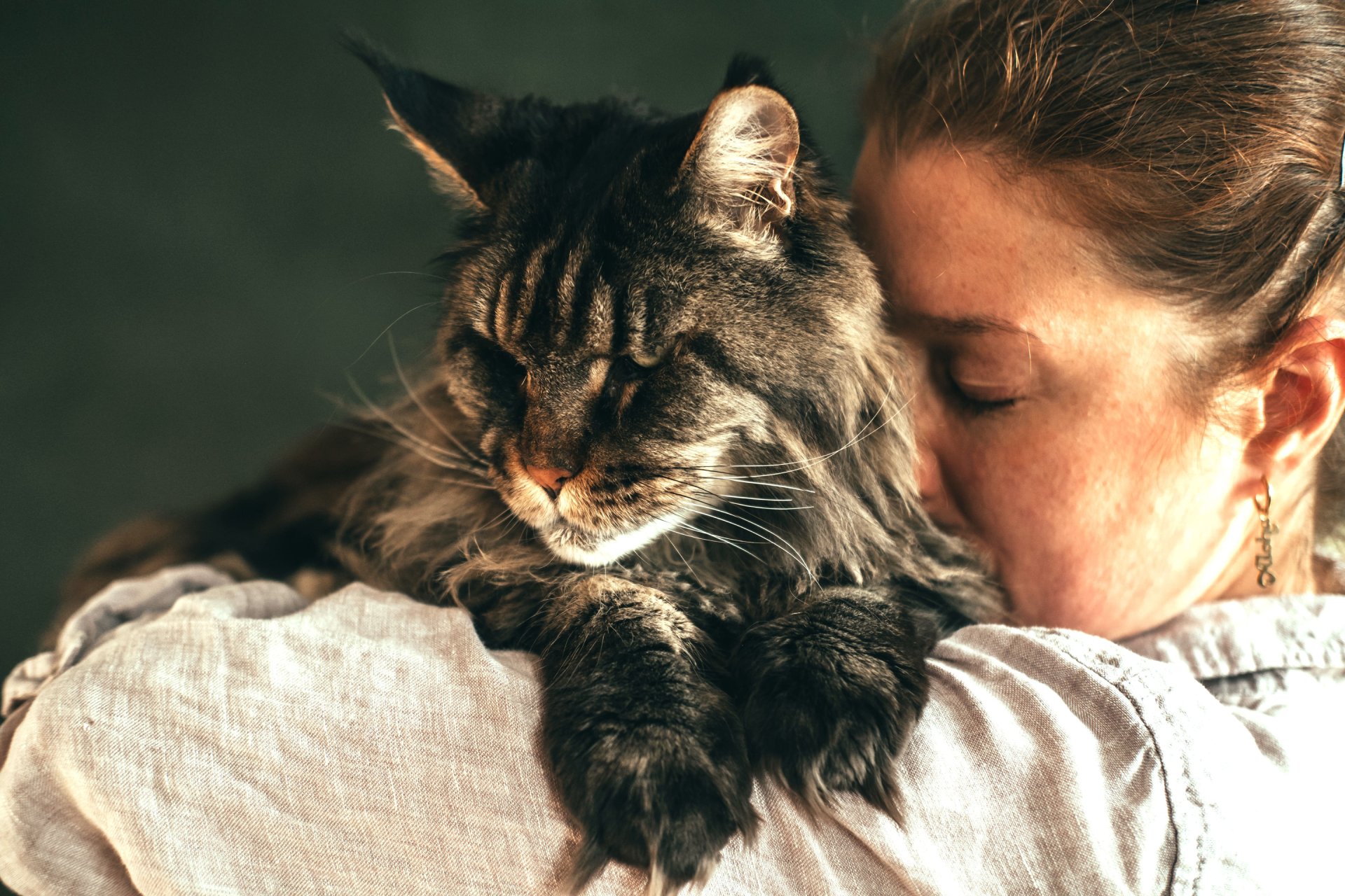 Dame serrant un vieux chat tigré contre elle